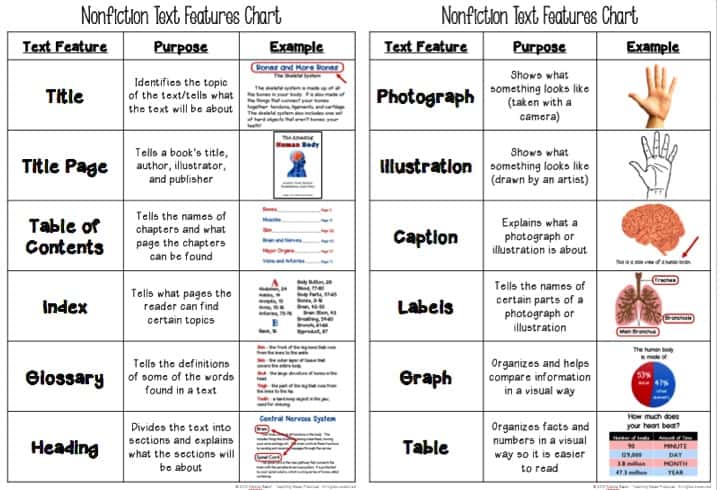 Image result for text features worksheet 1st grade