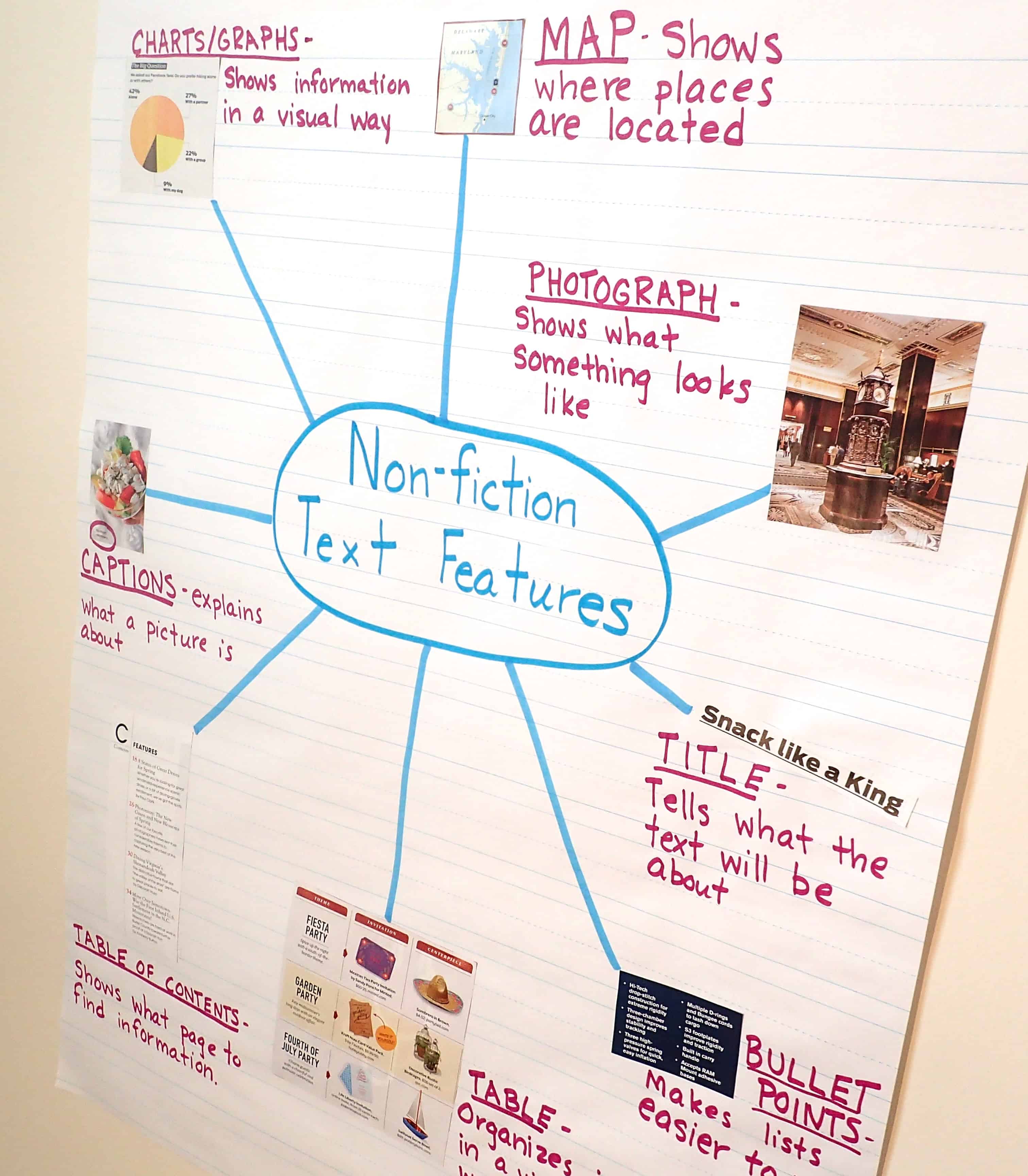 Text Features Chart Elementary