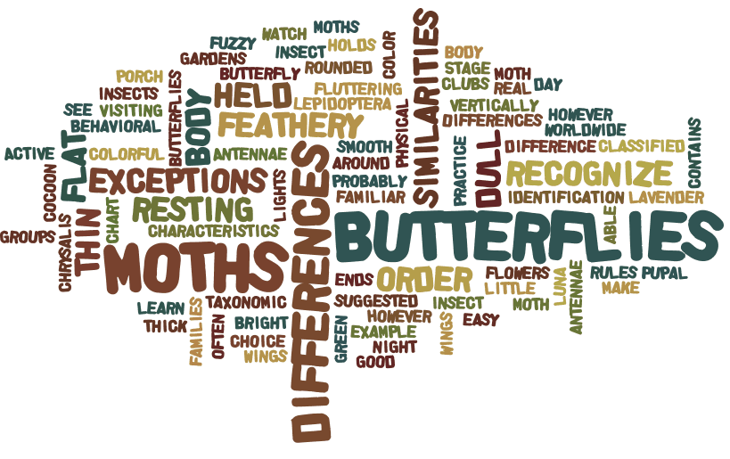 Using a word cloud generator for a fun introduction to main idea in 3rd, 4th, and 5th grade