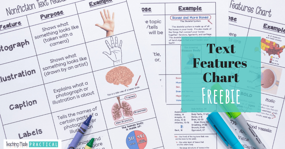 a free printable (pdf) text features chart for 3rd, 4th, and 5th grade students