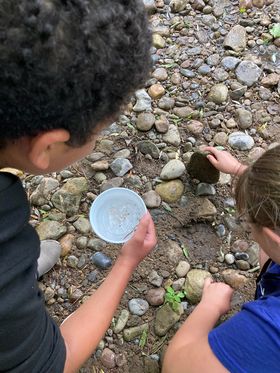 students examining insects using Trout in the Classroom- an outdoor learning idea for 3rd, 4th, and 5th grade