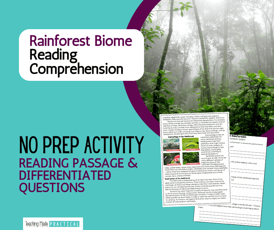 No Prep Rainforest Reading Comprehension and Passage for 3rd, 4th, and 5th grade students